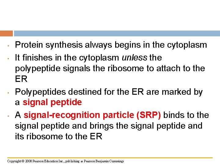  • • Protein synthesis always begins in the cytoplasm It finishes in the