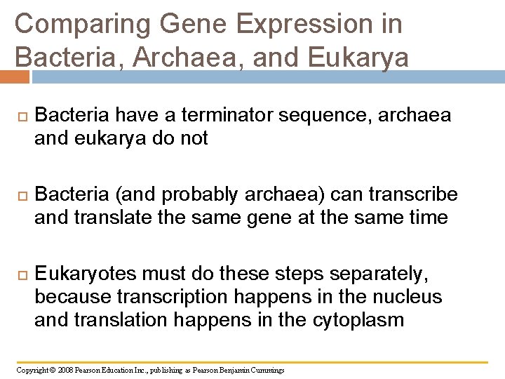 Comparing Gene Expression in Bacteria, Archaea, and Eukarya Bacteria have a terminator sequence, archaea