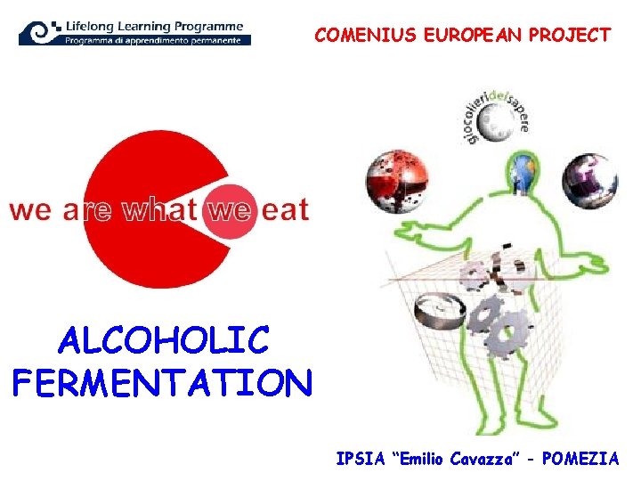 COMENIUS EUROPEAN PROJECT ALCOHOLIC FERMENTATION IPSIA “Emilio Cavazza” - POMEZIA 