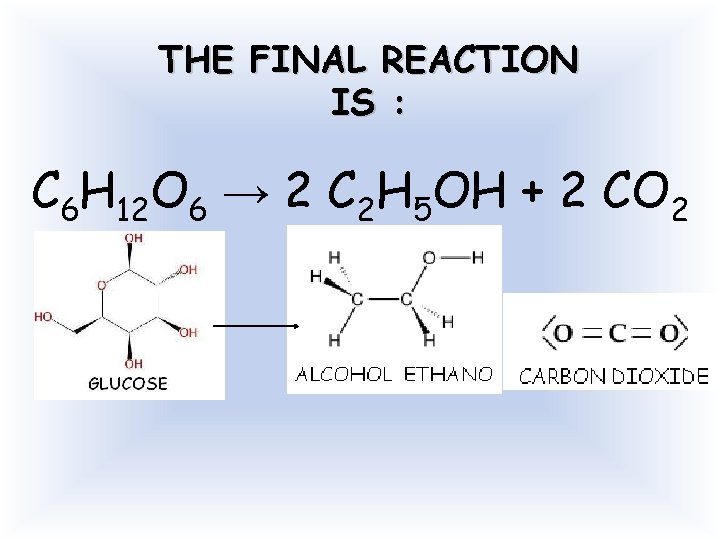 THE FINAL REACTION IS : C 6 H 12 O 6 → 2 C