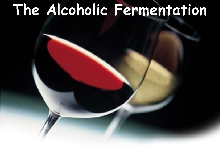 The Alcoholic Fermentation 