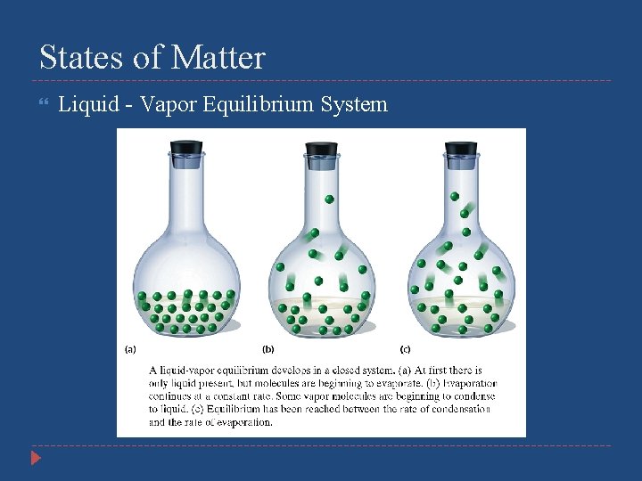 States of Matter Liquid - Vapor Equilibrium System 