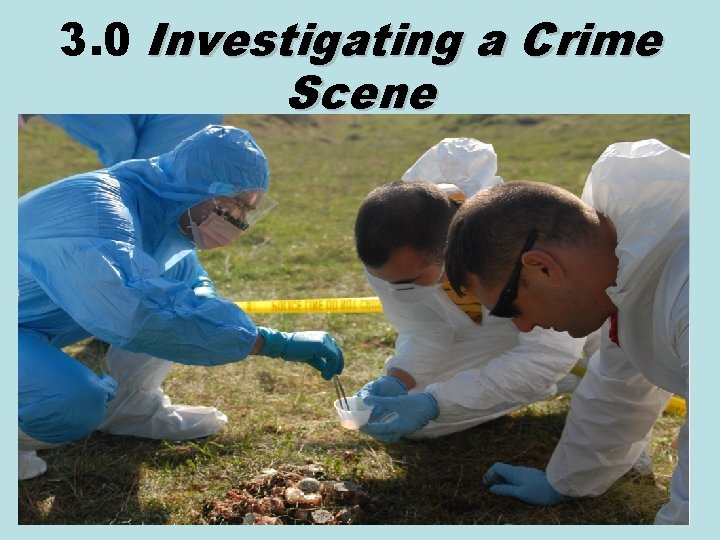 3. 0 Investigating a Crime Scene 