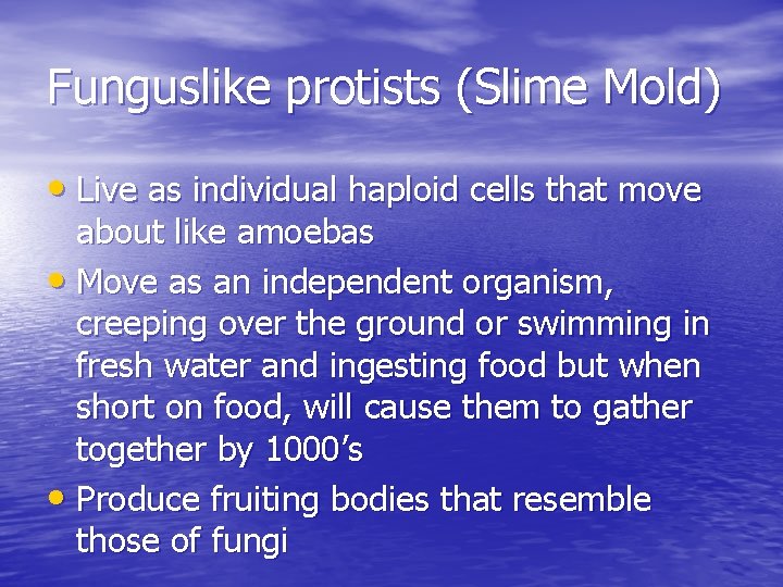 Funguslike protists (Slime Mold) • Live as individual haploid cells that move about like