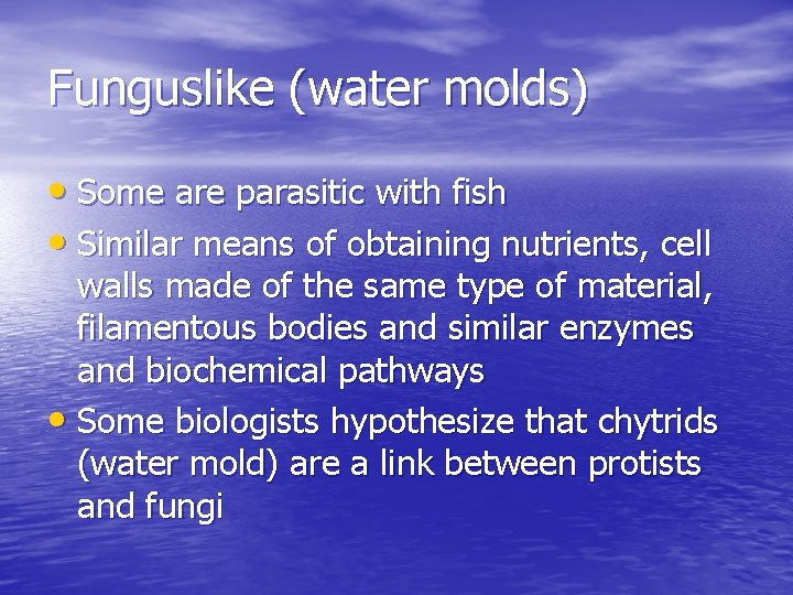 Funguslike (water molds) • Some are parasitic with fish • Similar means of obtaining