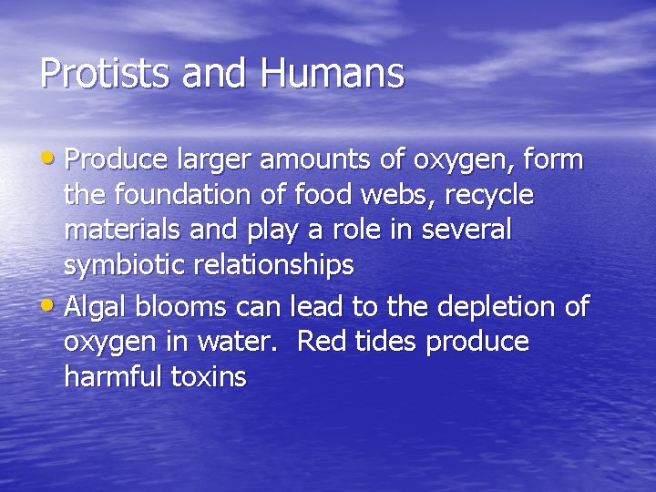 Protists and Humans • Produce larger amounts of oxygen, form the foundation of food