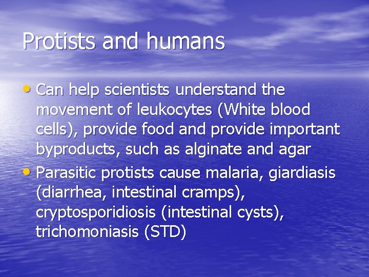 Protists and humans • Can help scientists understand the movement of leukocytes (White blood