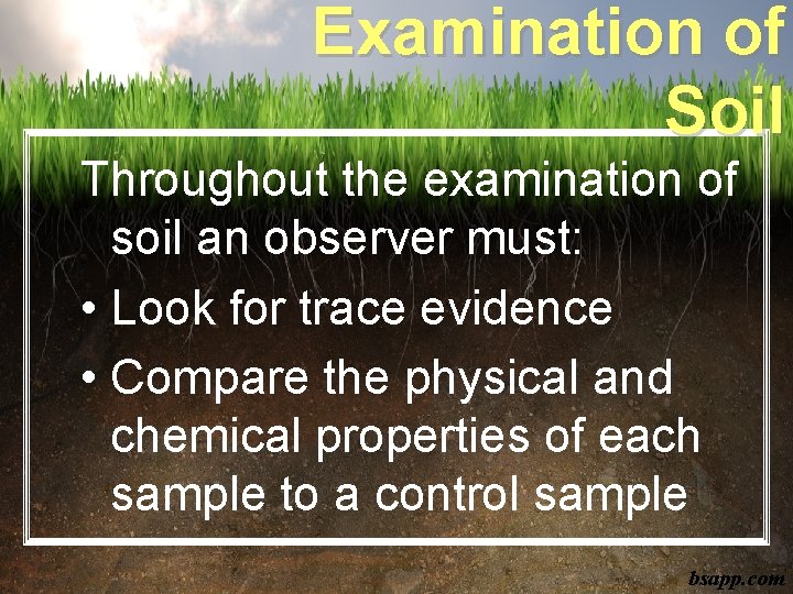 Examination of Soil Throughout the examination of soil an observer must: • Look for