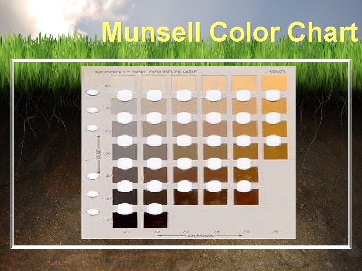 Munsell Color Chart 