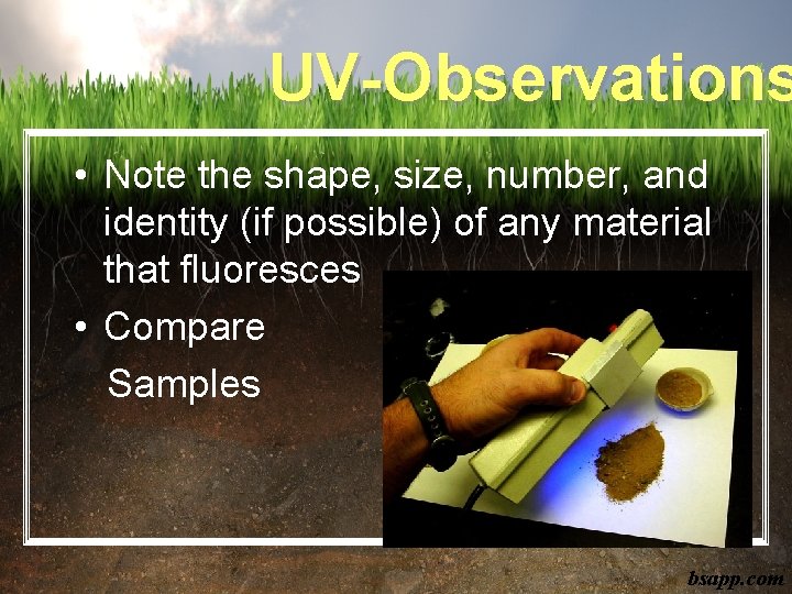 UV-Observations • Note the shape, size, number, and identity (if possible) of any material