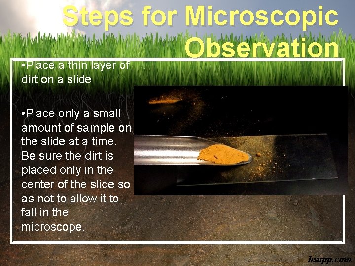 Steps for Microscopic Observation • Place a thin layer of dirt on a slide
