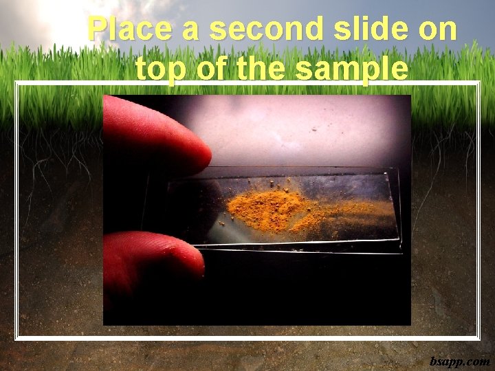 Place a second slide on top of the sample bsapp. com 