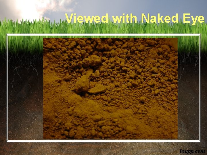 Viewed with Naked Eye bsapp. com 