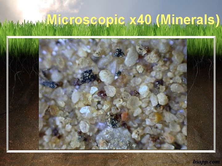Microscopic x 40 (Minerals) bsapp. com 