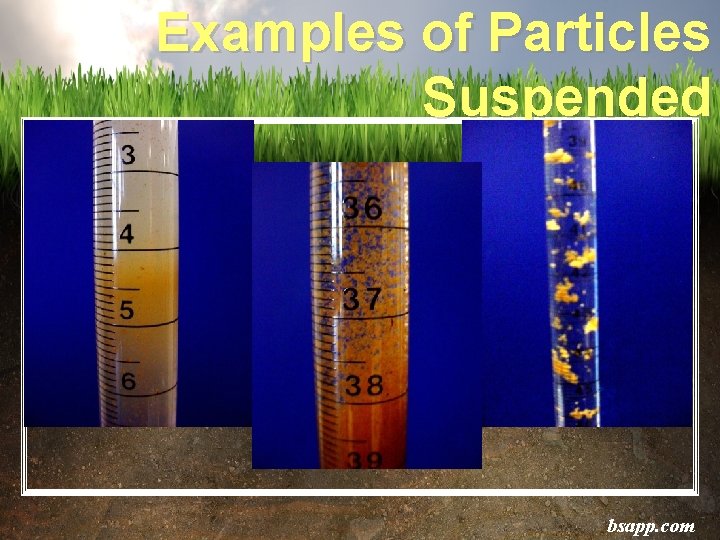 Examples of Particles Suspended bsapp. com 