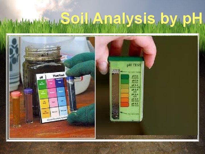 Soil Analysis by p. H 