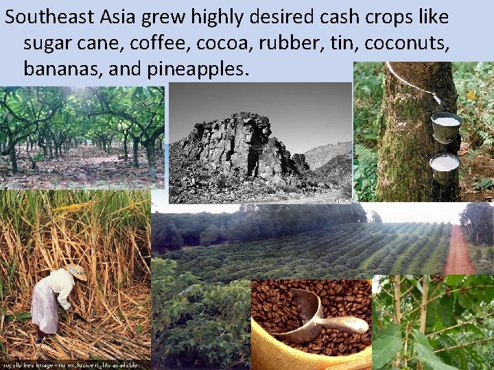 Southeast Asia grew highly desired cash crops like sugar cane, coffee, cocoa, rubber, tin,