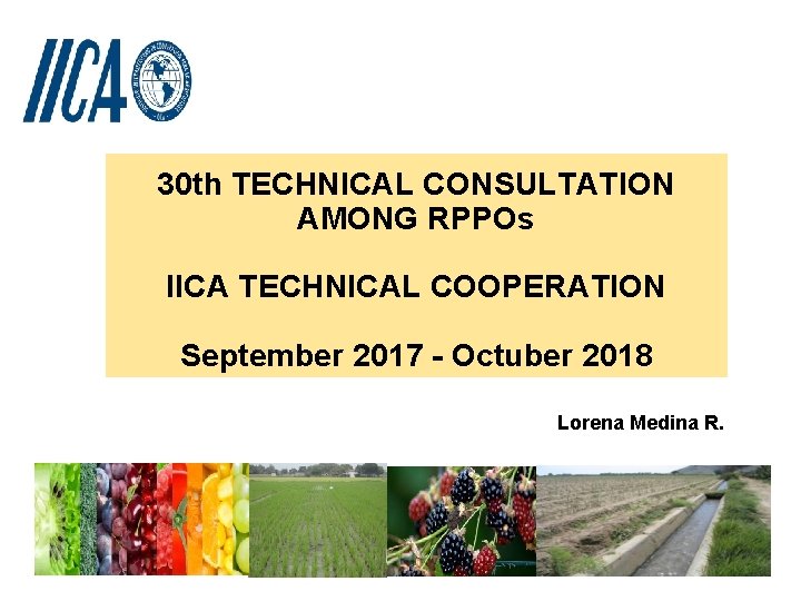 30 th TECHNICAL CONSULTATION AMONG RPPOs IICA TECHNICAL COOPERATION September 2017 - Octuber 2018