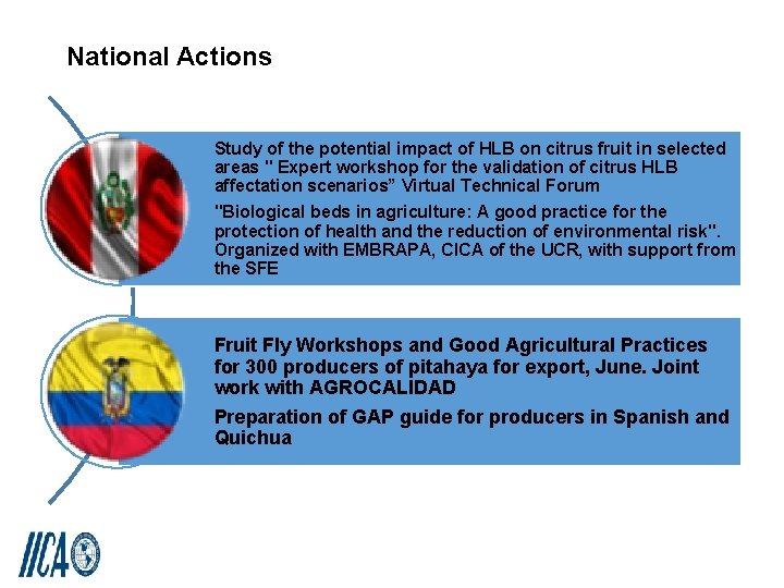 National Actions Study of the potential impact of HLB on citrus fruit in selected