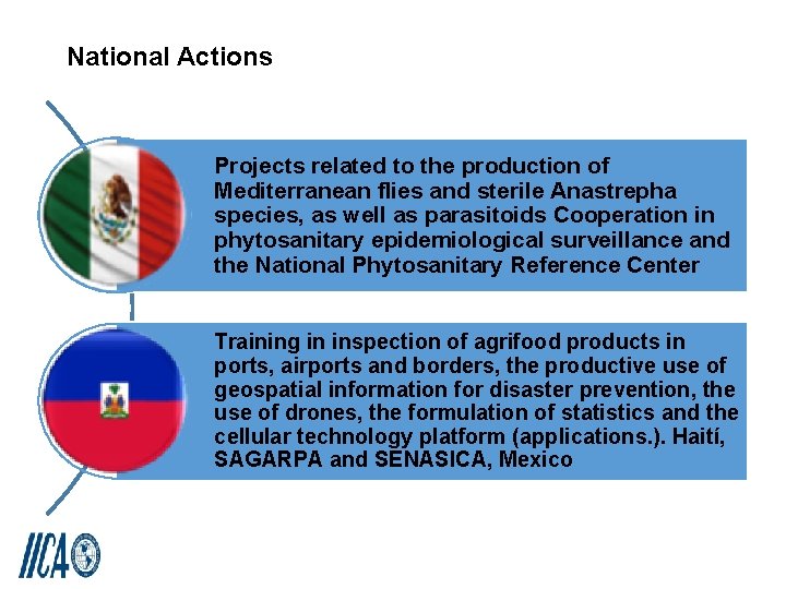 National Actions Projects related to the production of Mediterranean flies and sterile Anastrepha species,