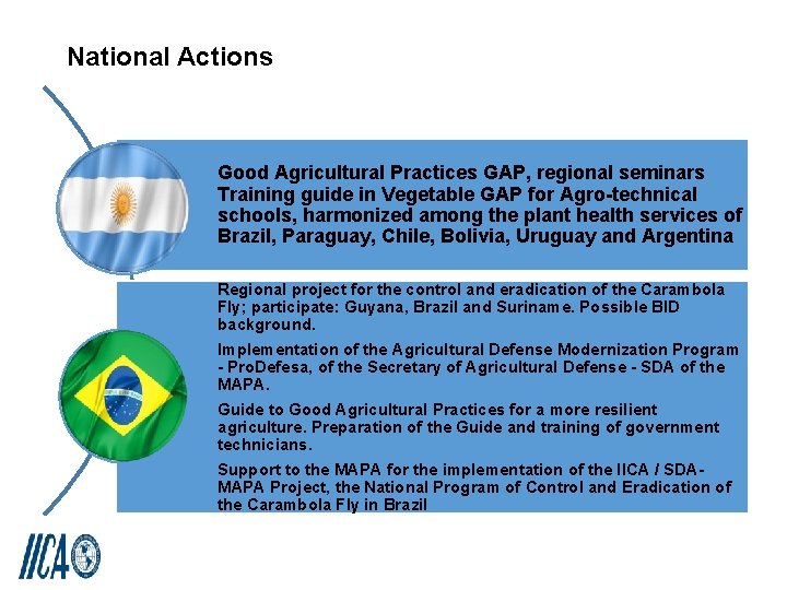 National Actions Good Agricultural Practices GAP, regional seminars Training guide in Vegetable GAP for