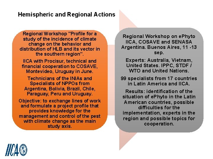 Hemispheric and Regional Actions Regional Workshop "Profile for a study of the incidence of