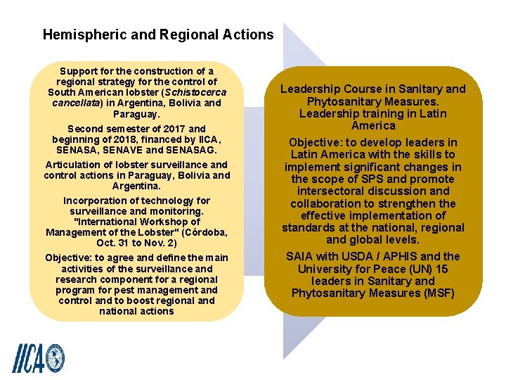 Hemispheric and Regional Actions Support for the construction of a regional strategy for the