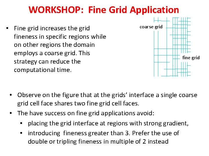 WORKSHOP: Fine Grid Application • Fine grid increases the grid fineness in specific regions