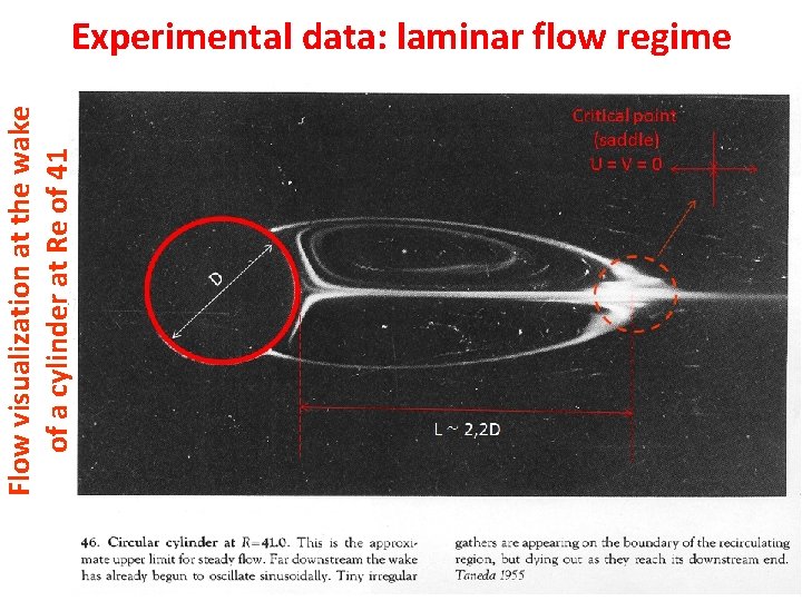 Flow visualization at the wake of a cylinder at Re of 41 Experimental data: