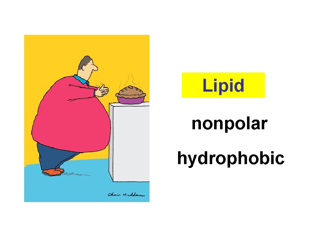 Lipid nonpolar hydrophobic 