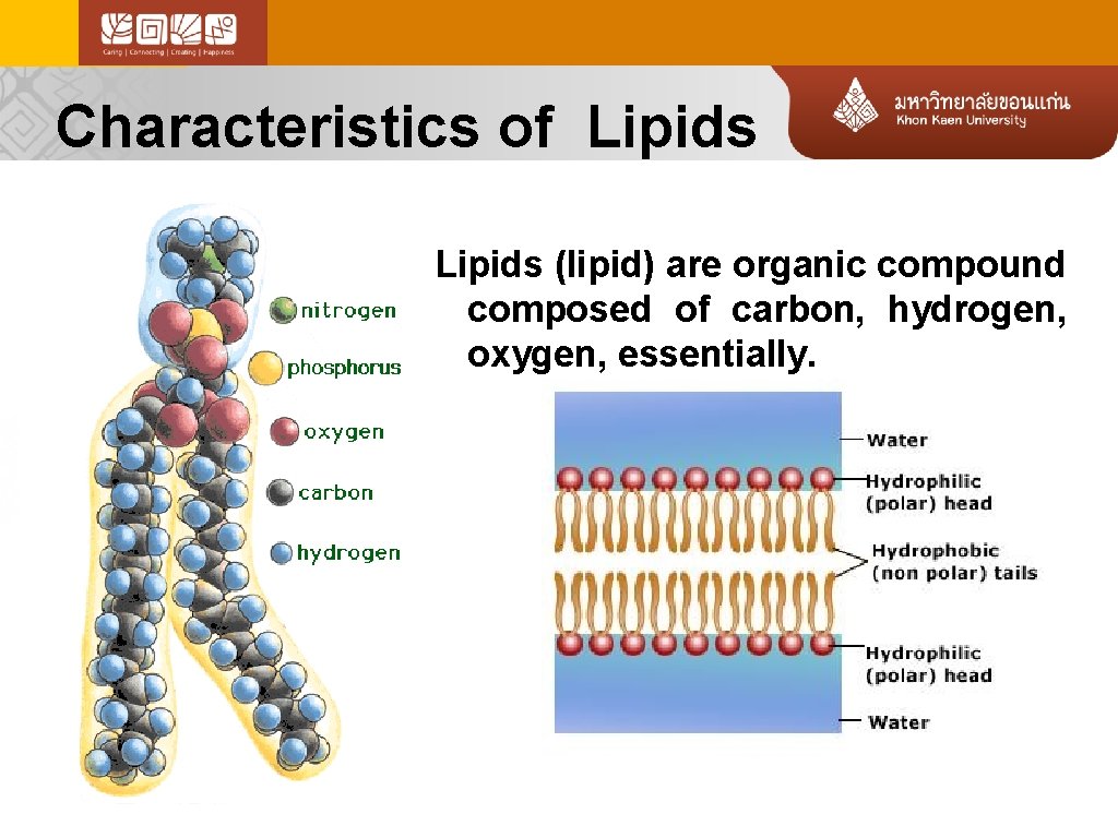 Characteristics of Lipids (lipid) are organic compound composed of carbon, hydrogen, oxygen, essentially. 
