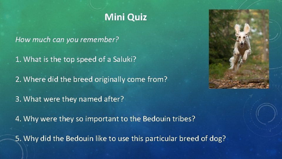 Mini Quiz How much can you remember? 1. What is the top speed of Mini Quiz How much can you remember? 1. What is the top speed of