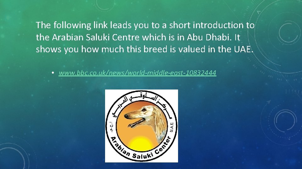 The following link leads you to a short introduction to the Arabian Saluki Centre The following link leads you to a short introduction to the Arabian Saluki Centre