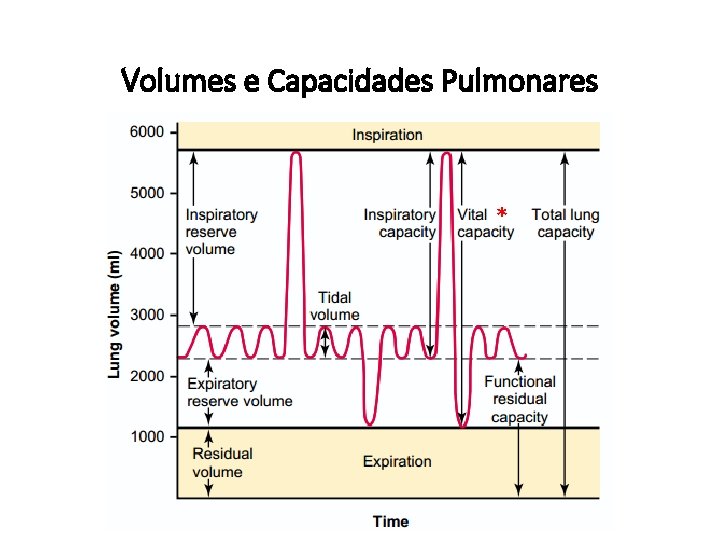 Volumes e Capacidades Pulmonares * 