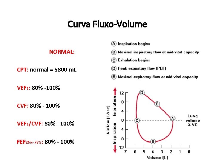 Curva Fluxo-Volume NORMAL: CPT: normal = 5800 m. L VEF 1: 80% -100% CVF:
