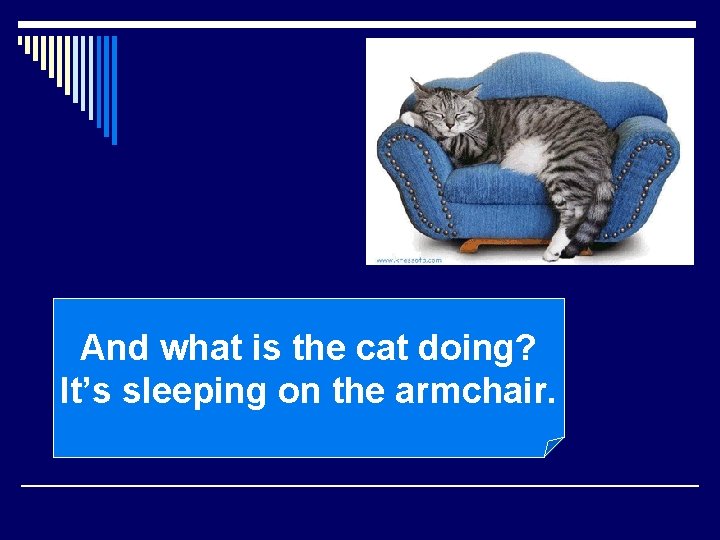 And what is the cat doing? It’s sleeping on the armchair. 