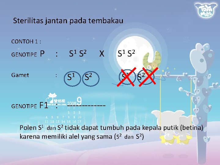 Sterilitas jantan pada tembakau CONTOH 1 : GENOTIPE Gamet GENOTIPE P : S 1