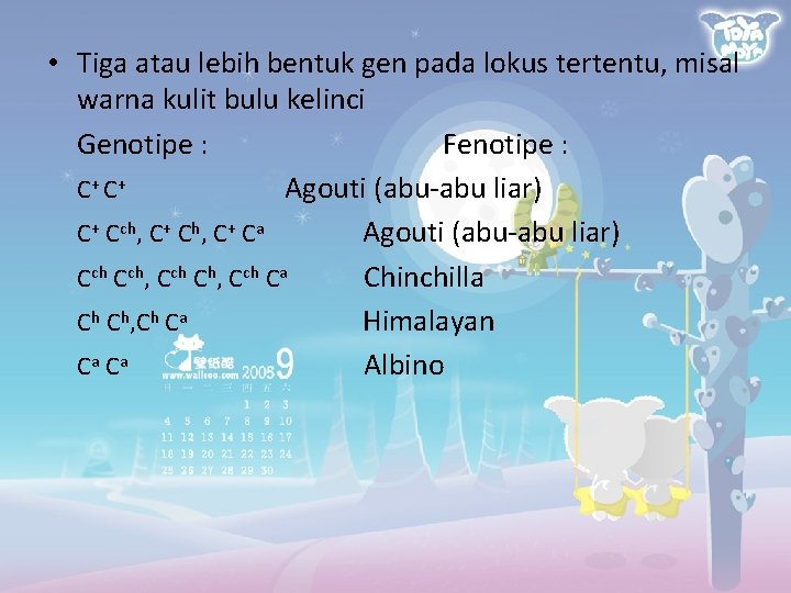  • Tiga atau lebih bentuk gen pada lokus tertentu, misal warna kulit bulu