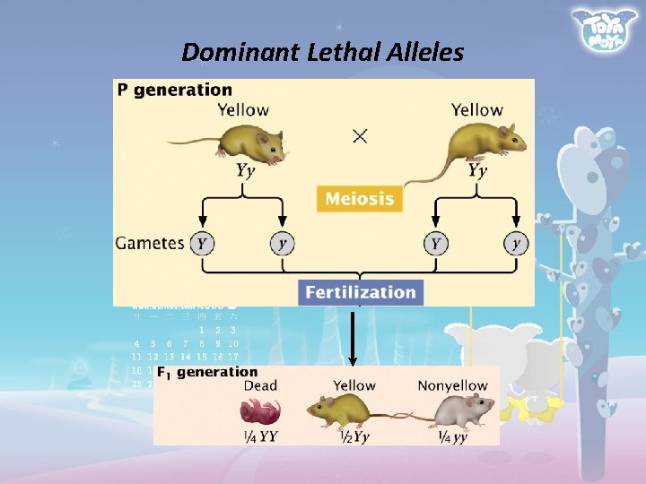 Dominant Lethal Alleles 