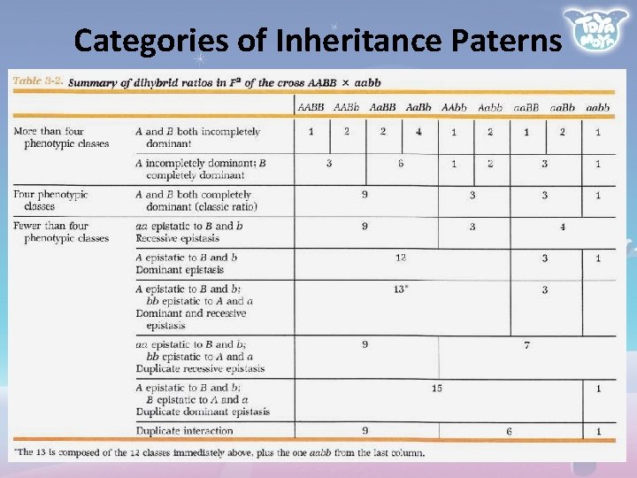 Categories of Inheritance Paterns 