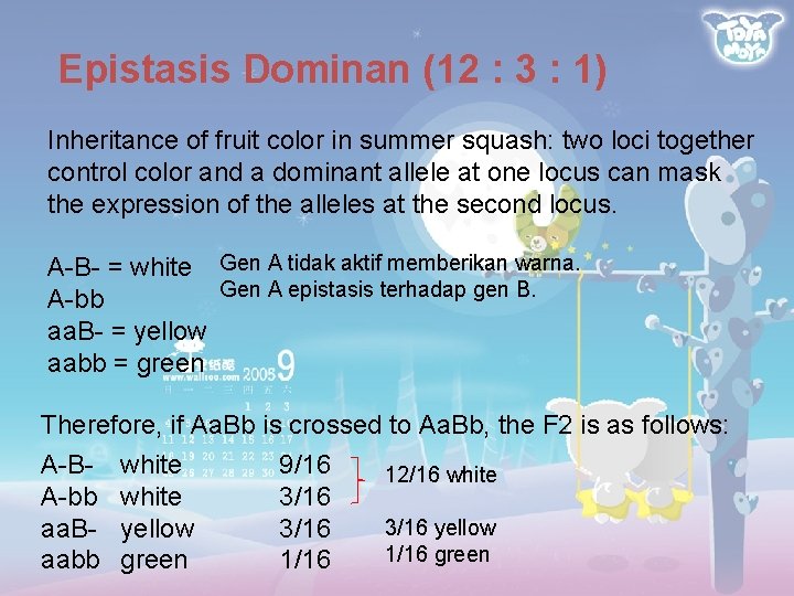 Epistasis Dominan (12 : 3 : 1) Inheritance of fruit color in summer squash: