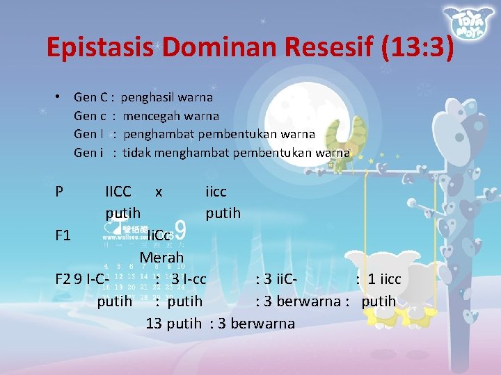 Epistasis Dominan Resesif (13: 3) • Gen C : penghasil warna Gen c :