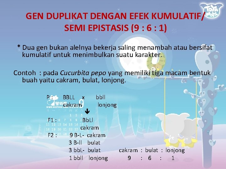 GEN DUPLIKAT DENGAN EFEK KUMULATIF/ SEMI EPISTASIS (9 : 6 : 1) * Dua