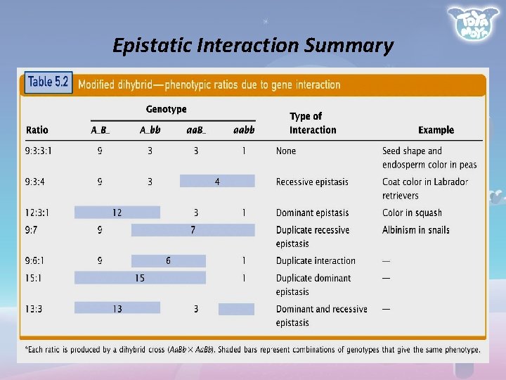 Epistatic Interaction Summary 