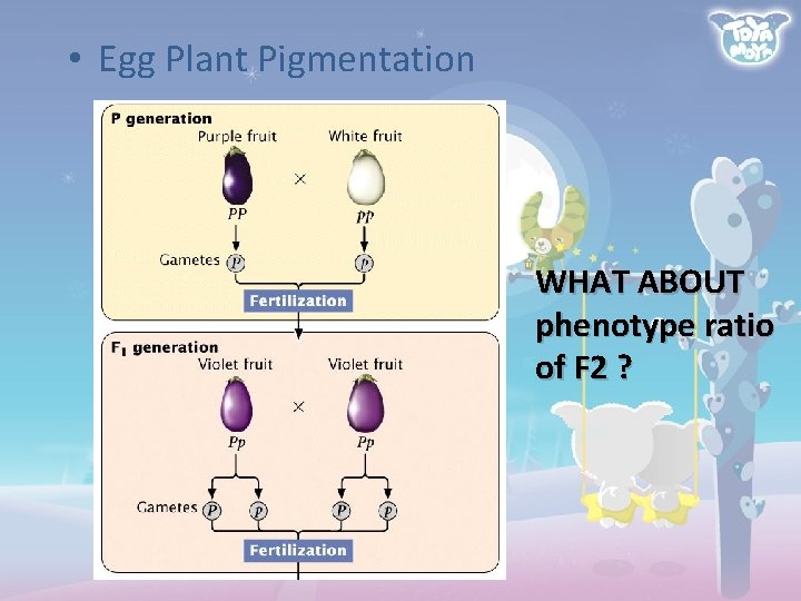  • Egg Plant Pigmentation WHAT ABOUT phenotype ratio of F 2 ? 
