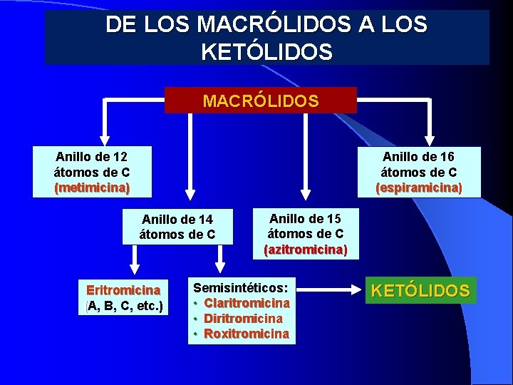 DE LOS MACRÓLIDOS A LOS KETÓLIDOS MACRÓLIDOS Anillo de 12 átomos de C (metimicina)