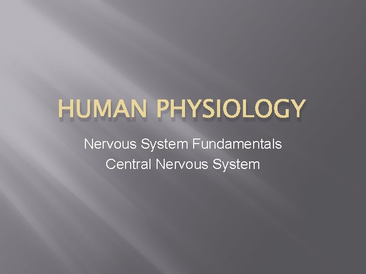 HUMAN PHYSIOLOGY Nervous System Fundamentals Central Nervous System 