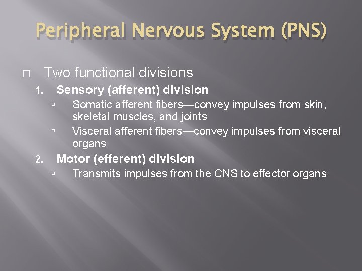 Peripheral Nervous System (PNS) Two functional divisions � Sensory (afferent) division 1. Somatic afferent