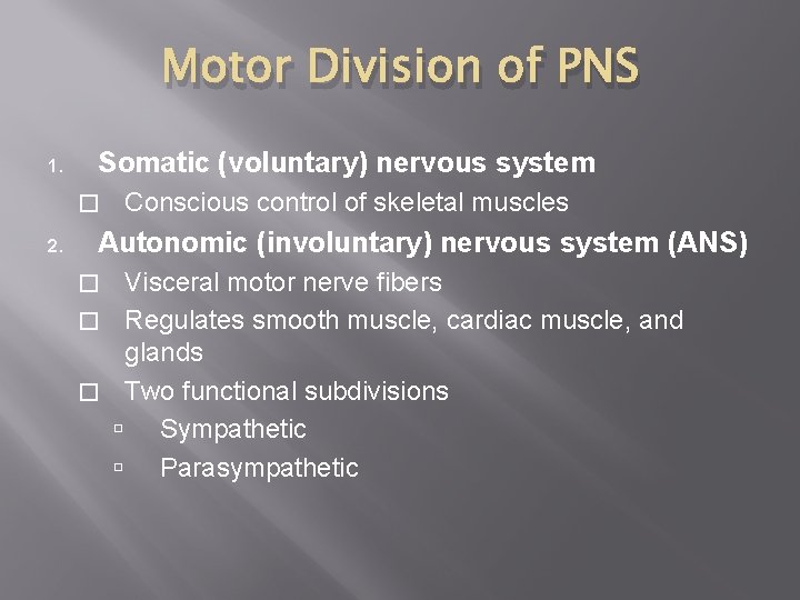 Motor Division of PNS 1. Somatic (voluntary) nervous system � 2. Conscious control of