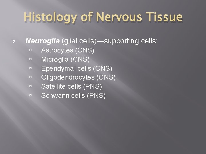 Histology of Nervous Tissue 2. Neuroglia (glial cells)—supporting cells: Astrocytes (CNS) Microglia (CNS) Ependymal